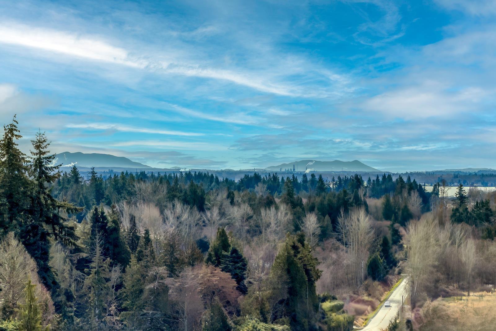 16790 17 Avenue, Surrey, British Columbia  V3Z 0T3 - Photo 35 - R3008335