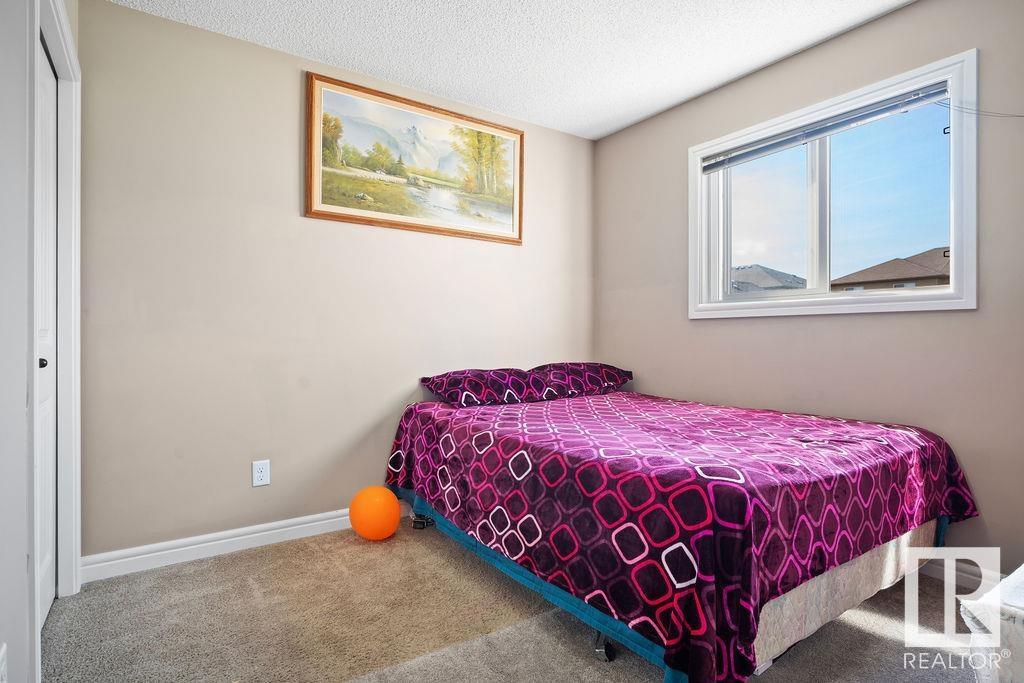 3005 17a Av Nw, Edmonton, Alberta  T6T 0R8 - Photo 31 - E4438912
