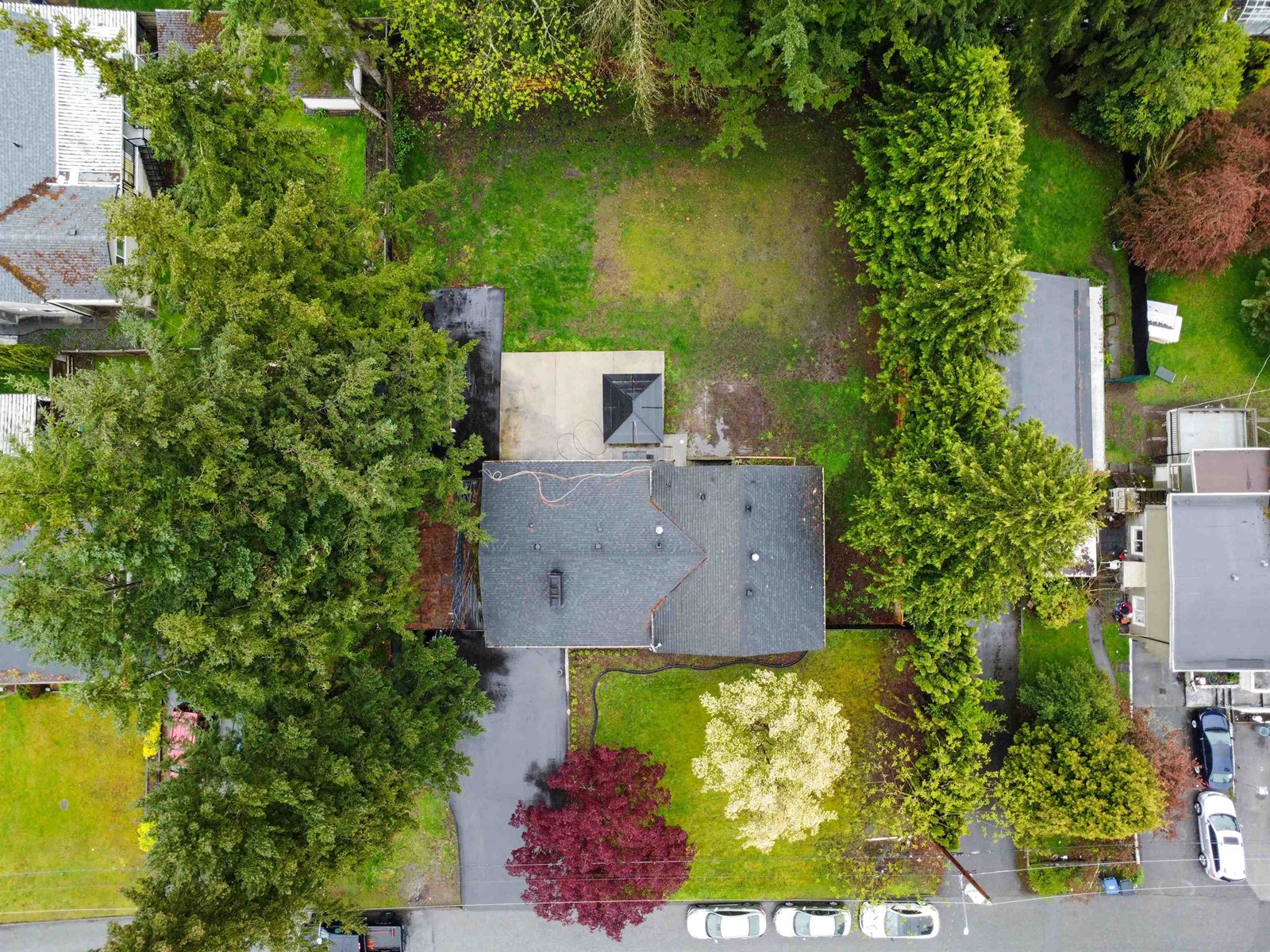 Property at 6764 134A STREET image 4