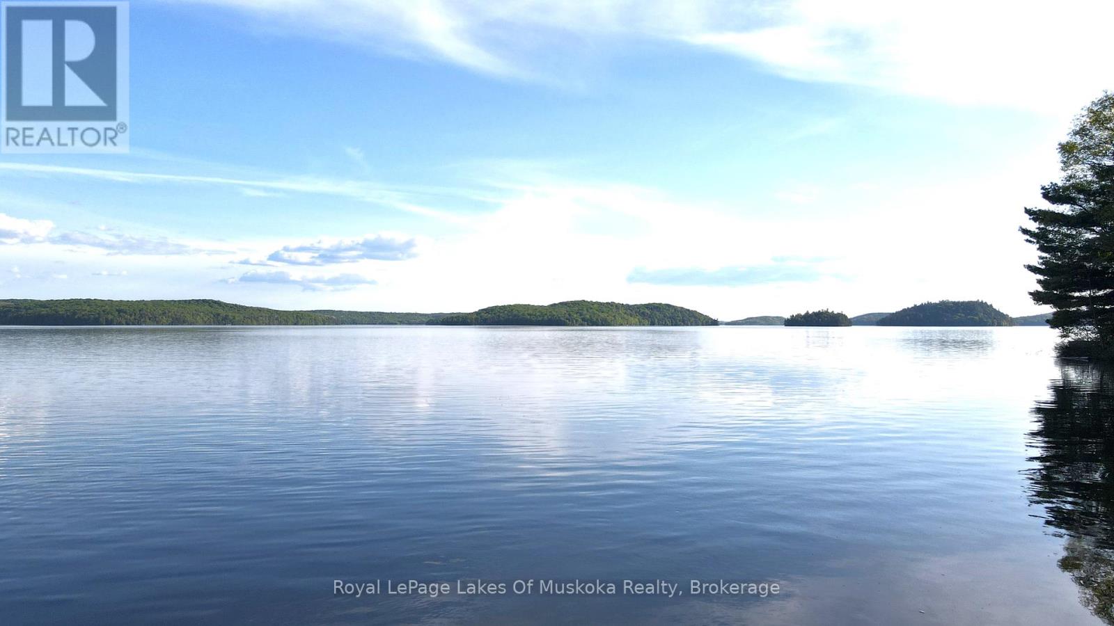 1047 Alice Drive, Algonquin Highlands (Livingstone), Ontario  P0A 1E0 - Photo 23 - X12179376