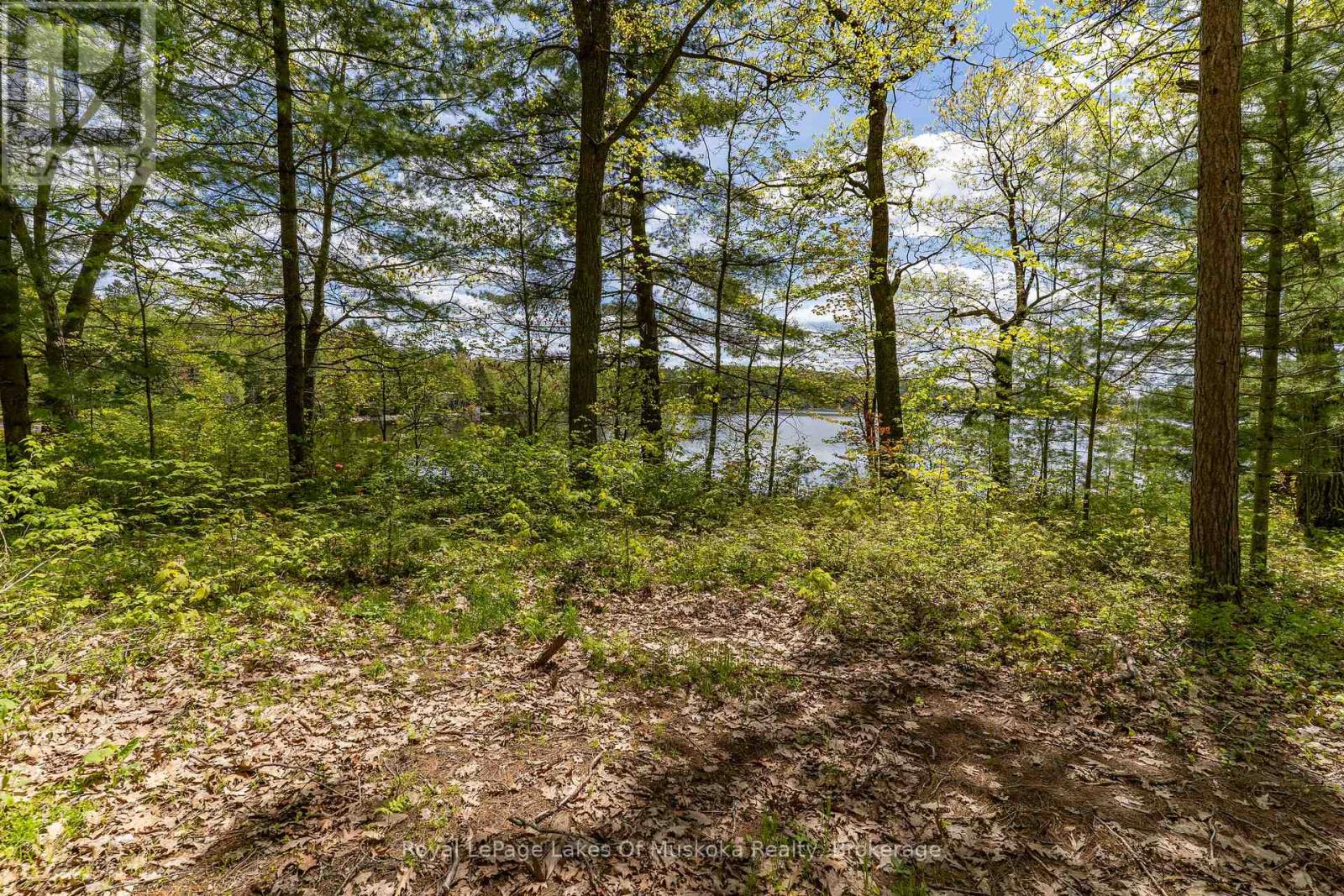 1047 Alice Drive, Algonquin Highlands (Livingstone), Ontario  P0A 1E0 - Photo 26 - X12179376