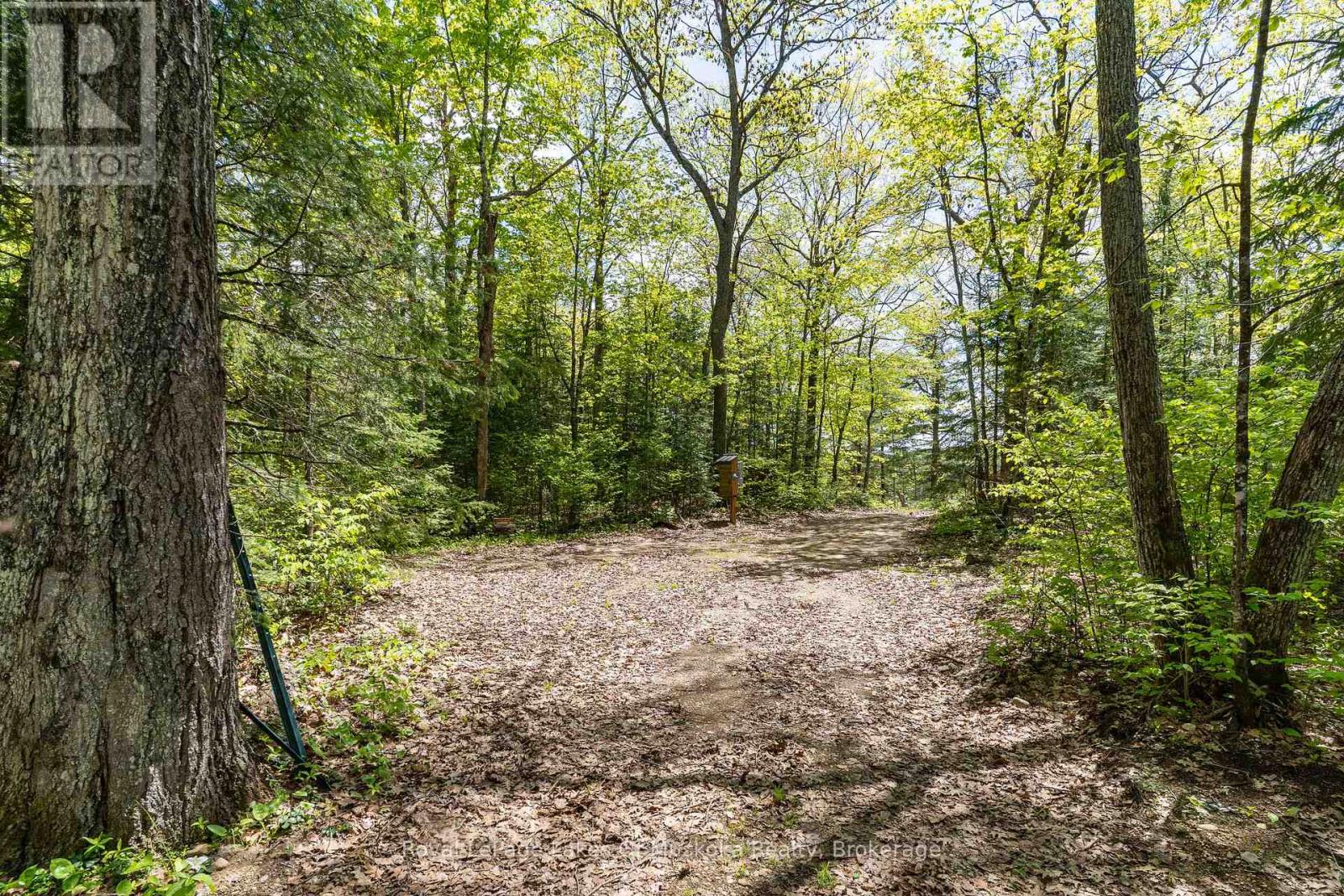 1047 Alice Drive, Algonquin Highlands (Livingstone), Ontario  P0A 1E0 - Photo 32 - X12179376