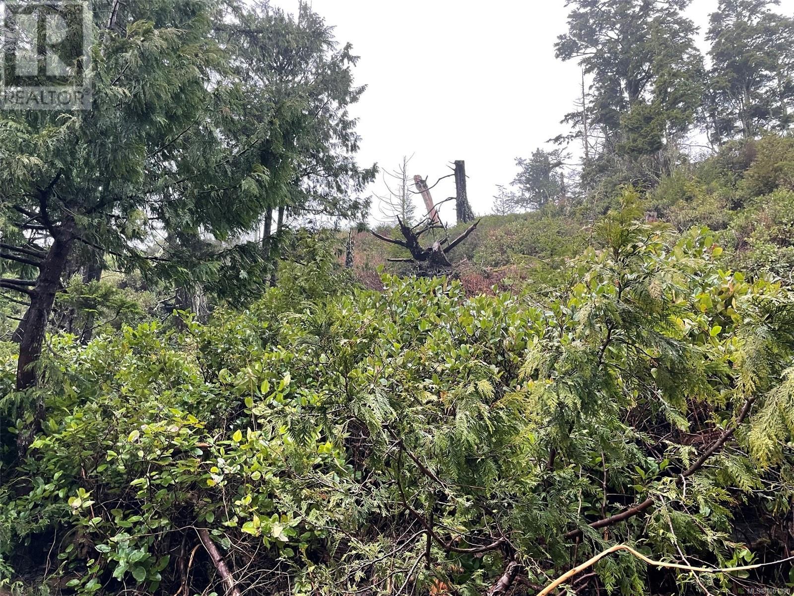 Lot 12 Marine Dr, Ucluelet, British Columbia  V0R 3A0 - Photo 18 - 1001390