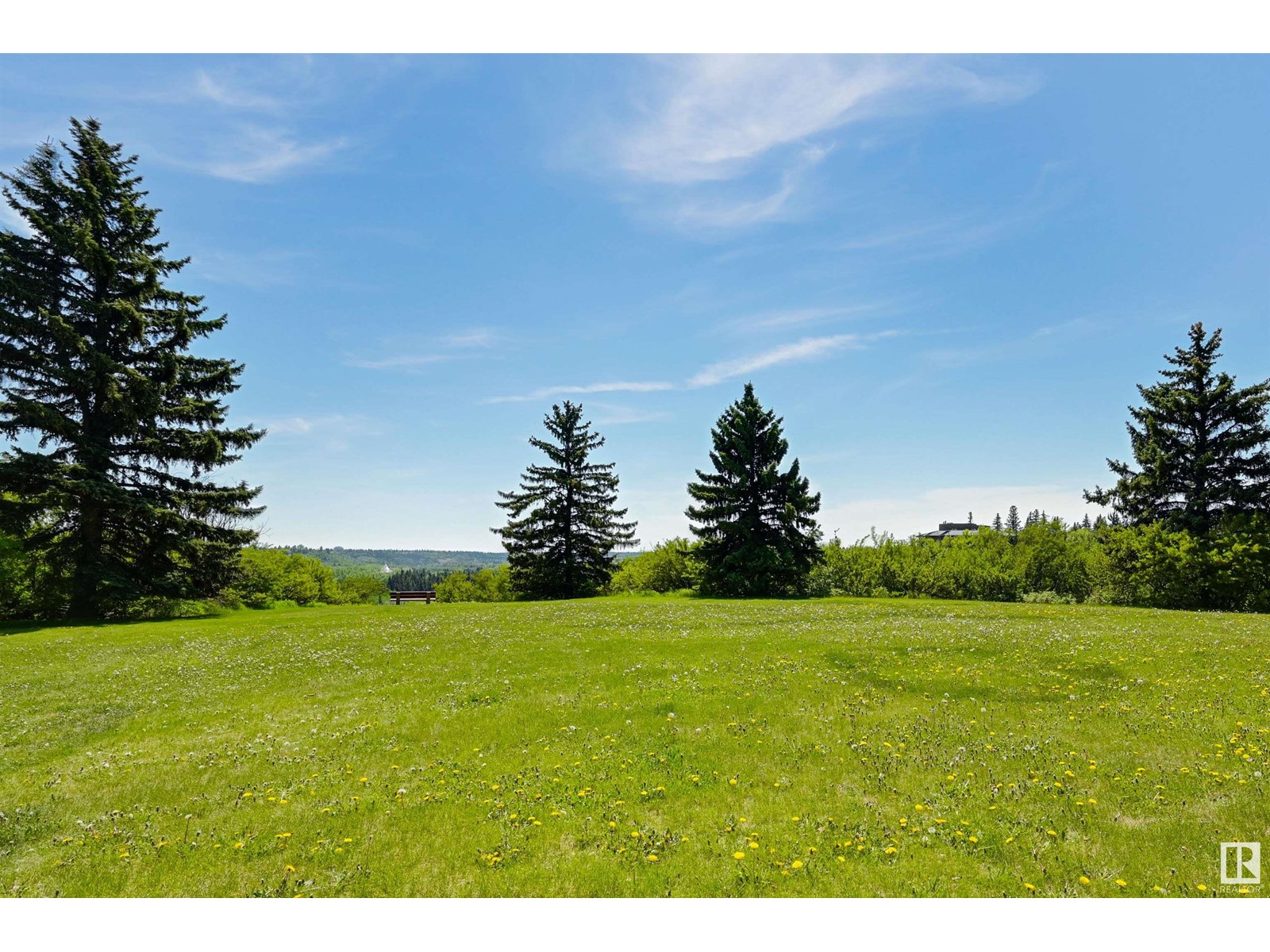 13508 Ravine Dr Nw, Edmonton, Alberta  T5N 3L8 - Photo 73 - E4438918