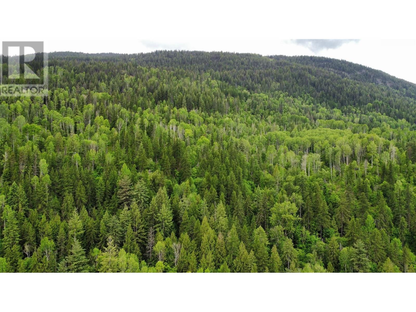 Lot 1 - 9 Arrow Lakes Drive, Castlegar, British Columbia  V1N 3N3 - Photo 2 - 10349514