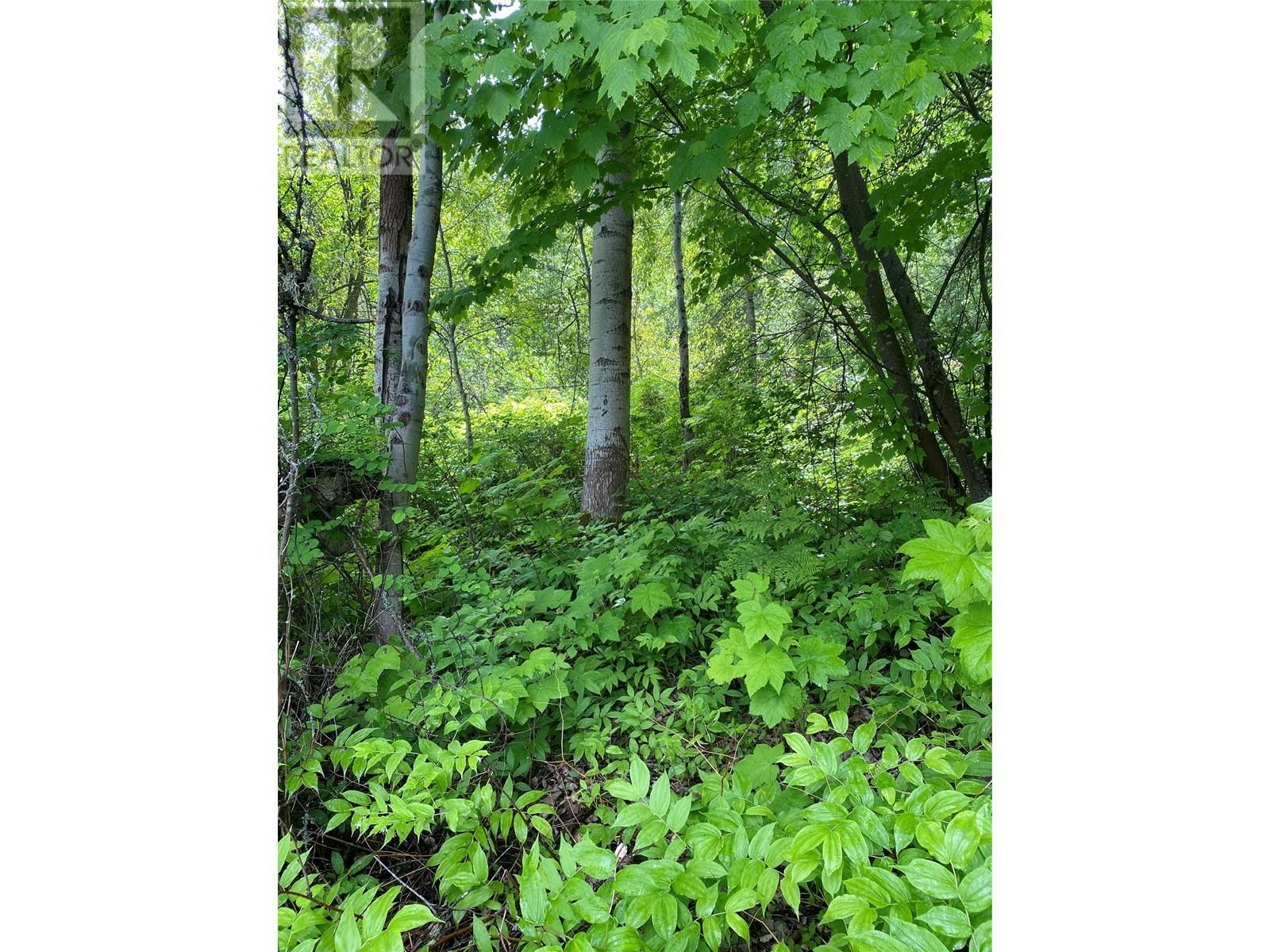 Lot 1 - 9 Arrow Lakes Drive, Castlegar, British Columbia  V1N 3N3 - Photo 18 - 10349514