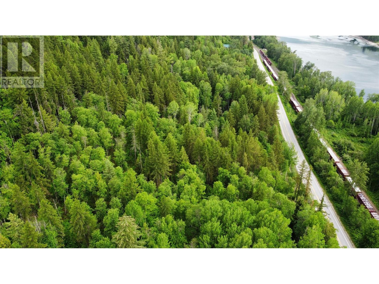 Lot 1 - 9 Arrow Lakes Drive, Castlegar, British Columbia  V1N 3N3 - Photo 7 - 10349514