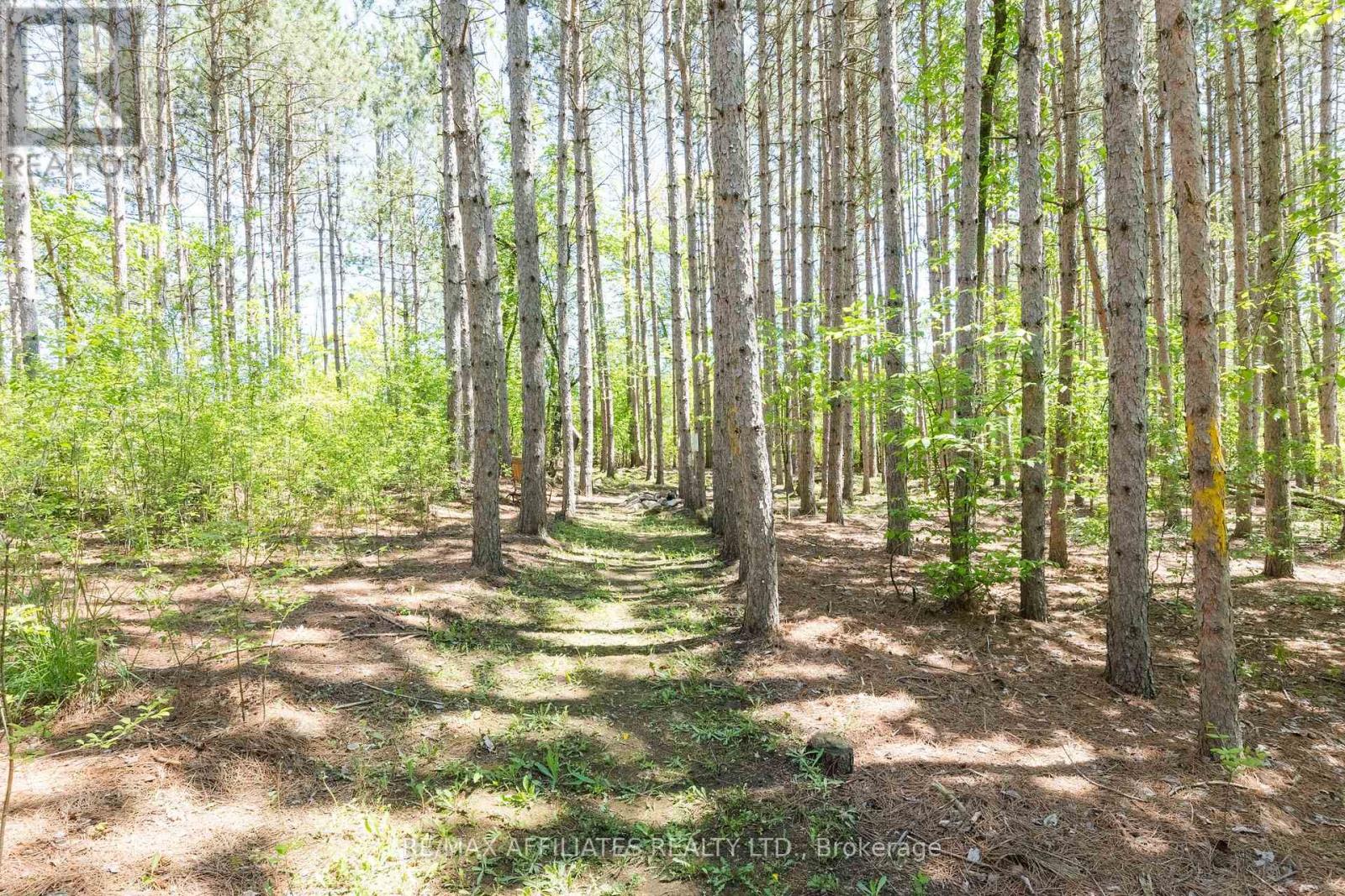 141 Pine Ridge Drive, Beckwith, Ontario  K7C 3P2 - Photo 38 - X12179500