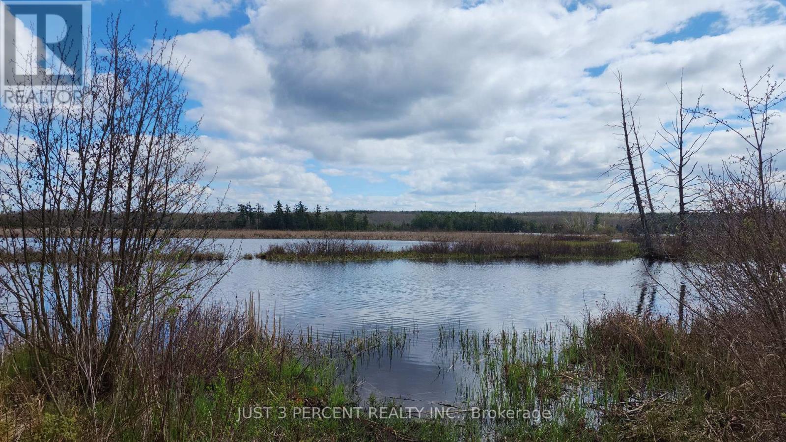 55 Northern Avenue, Trent Lakes, Ontario  K0M 1A0 - Photo 11 - X12179496