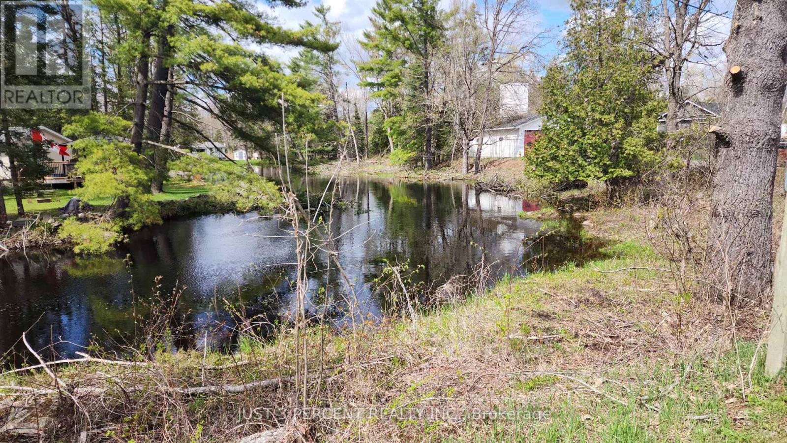 55 Northern Avenue, Trent Lakes, Ontario  K0M 1A0 - Photo 12 - X12179496