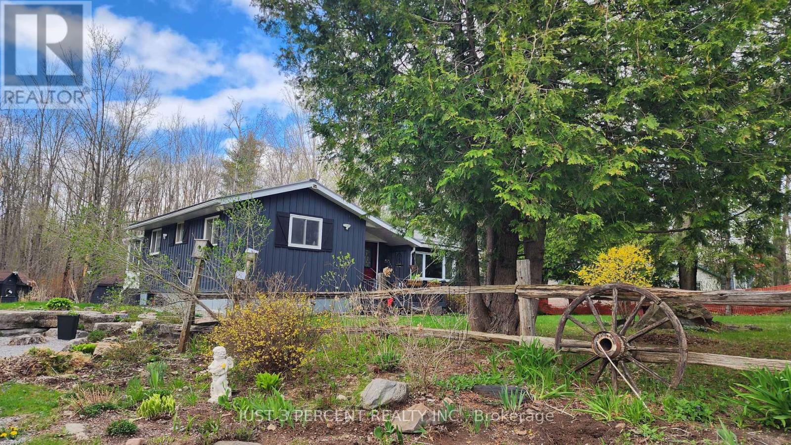 55 Northern Avenue, Trent Lakes, Ontario  K0M 1A0 - Photo 18 - X12179496
