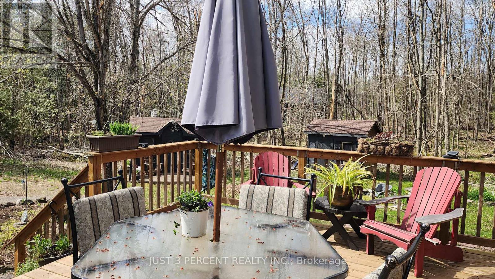 55 Northern Avenue, Trent Lakes, Ontario  K0M 1A0 - Photo 3 - X12179496