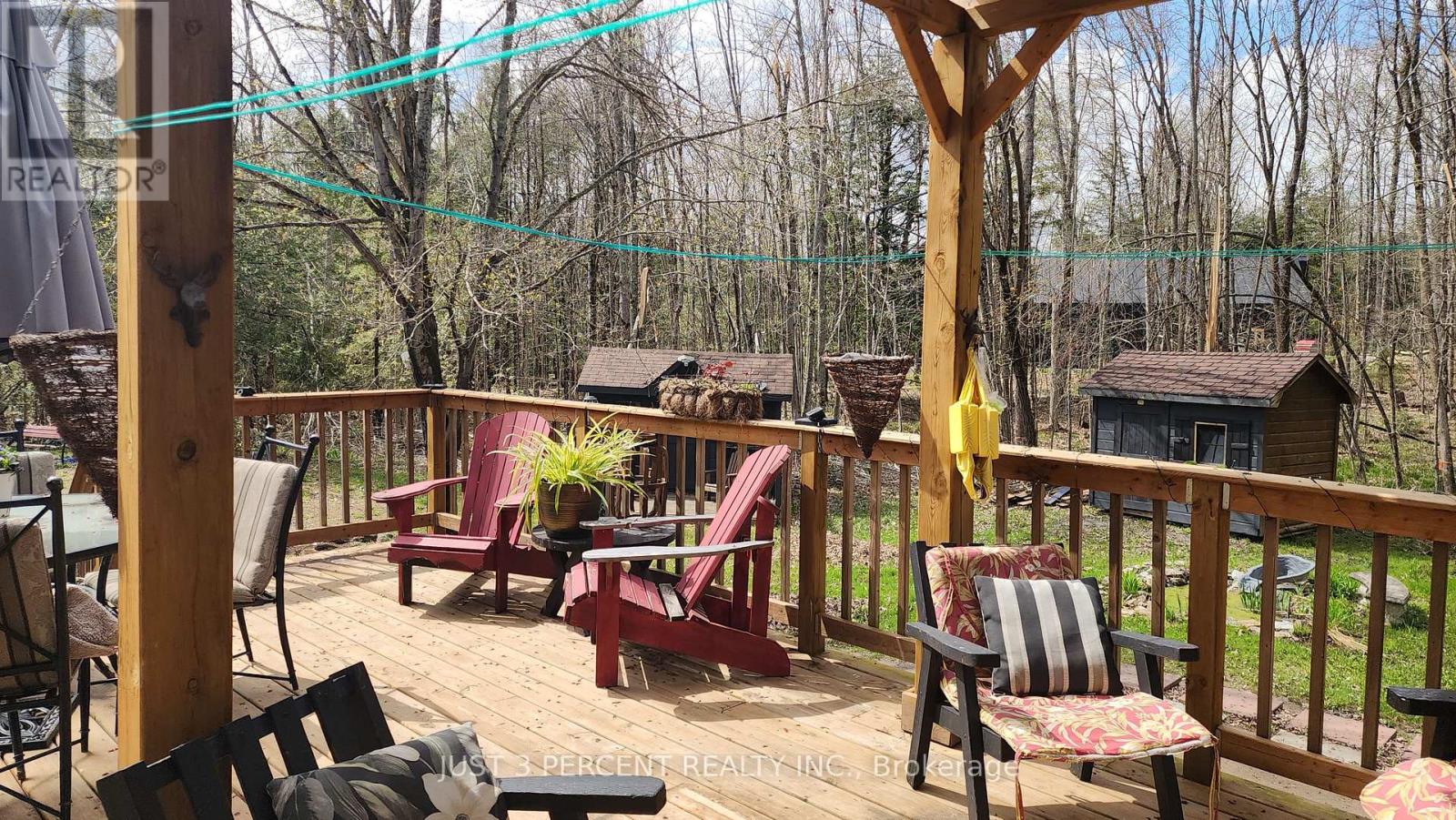 55 Northern Avenue, Trent Lakes, Ontario  K0M 1A0 - Photo 4 - X12179496