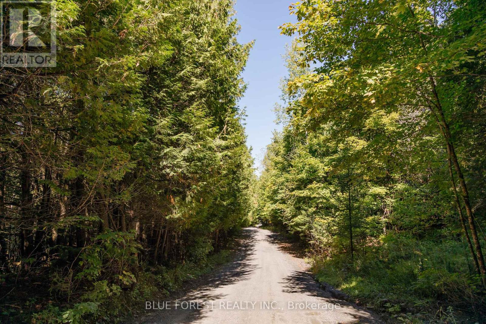 Lot 69 25th Line, Algonquin Highlands, Ontario  K0M 1J1 - Photo 2 - X12179567