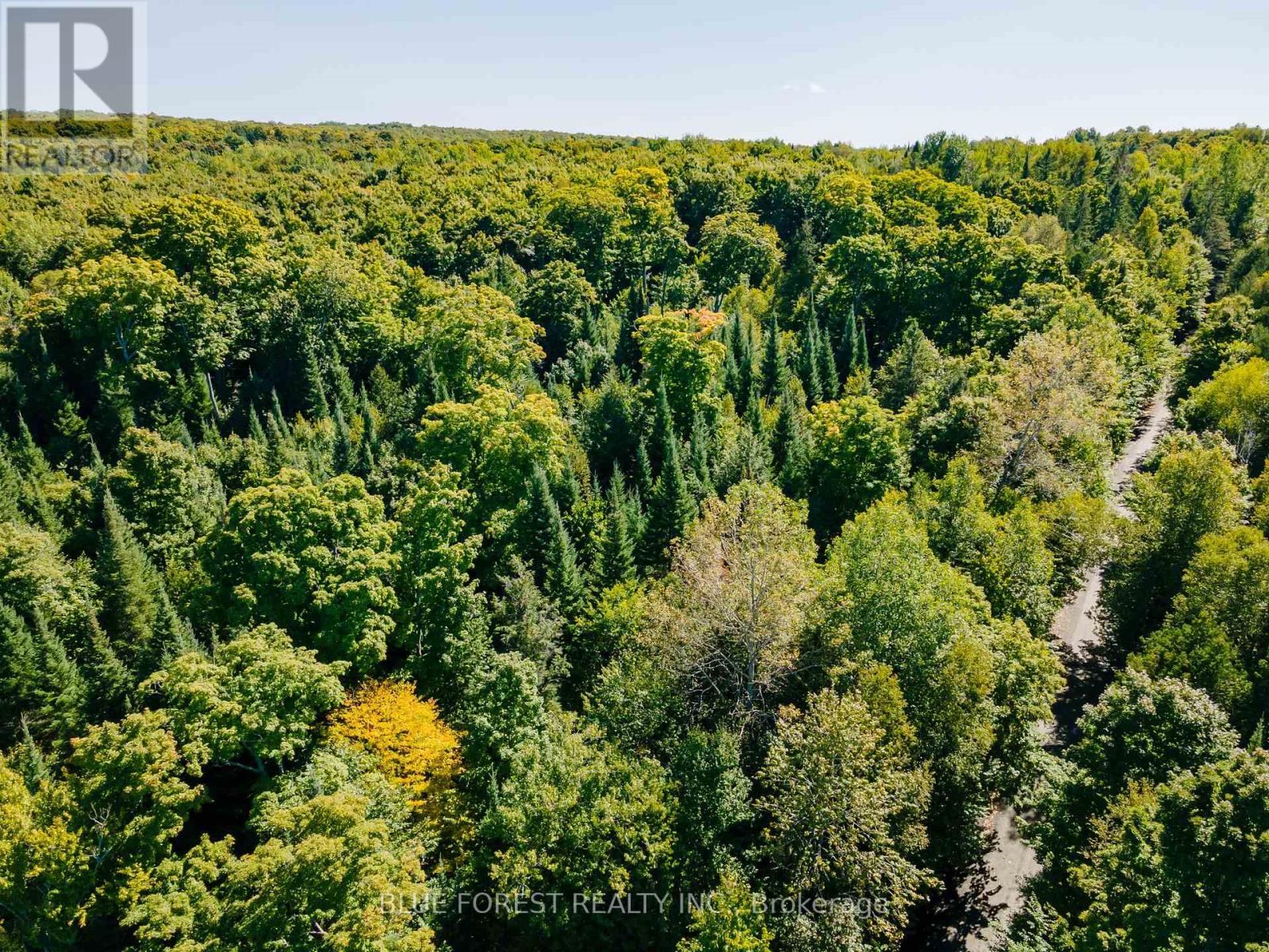 Lot 69 25th Line, Algonquin Highlands, Ontario  K0M 1J1 - Photo 28 - X12179567