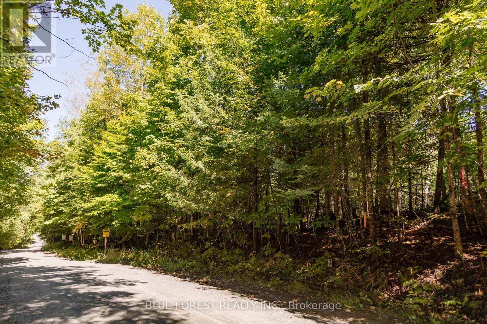 Lot 69 25th Line, Algonquin Highlands, Ontario  K0M 1J1 - Photo 3 - X12179567
