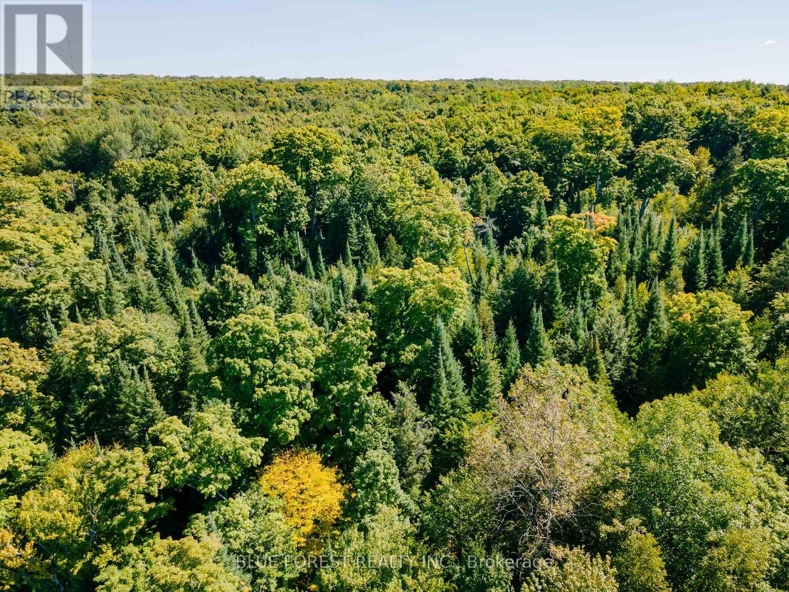 Lot 69 25th Line, Algonquin Highlands, Ontario  K0M 1J1 - Photo 30 - X12179567