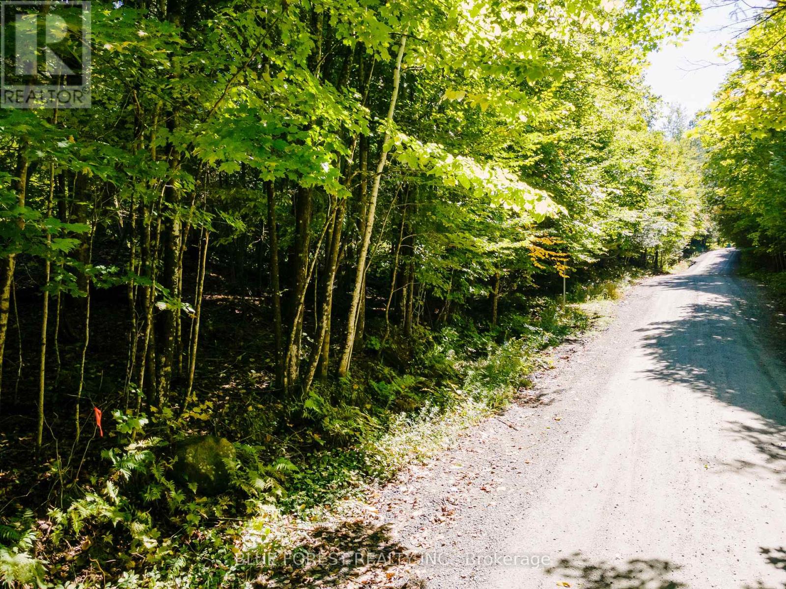 Lot 69 25th Line, Algonquin Highlands, Ontario  K0M 1J1 - Photo 31 - X12179567
