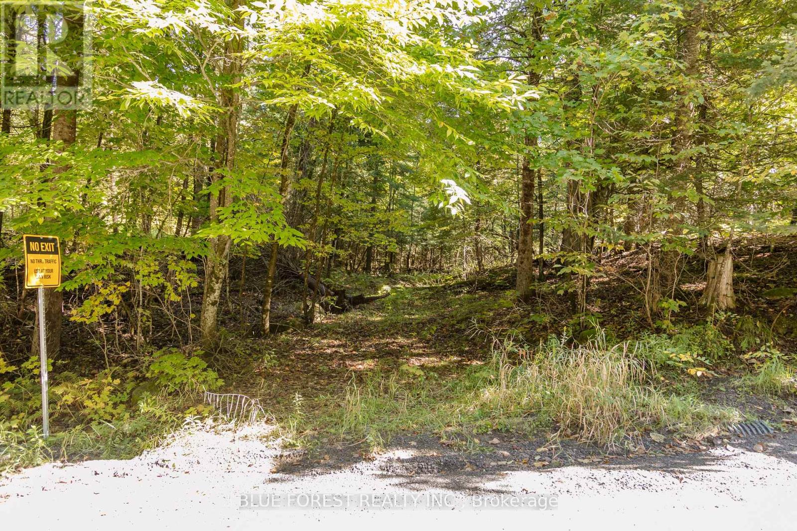 Lot 69 25th Line, Algonquin Highlands, Ontario  K0M 1J1 - Photo 4 - X12179567