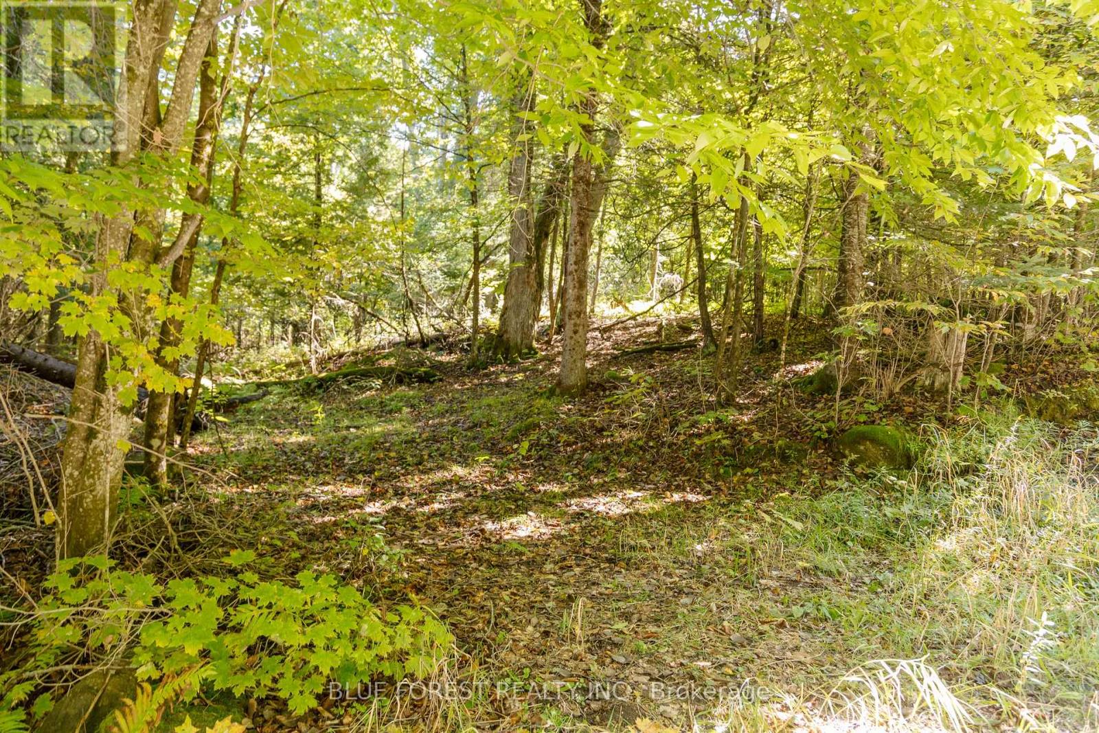 Lot 69 25th Line, Algonquin Highlands, Ontario  K0M 1J1 - Photo 5 - X12179567