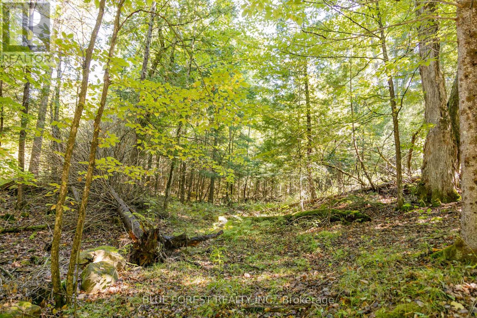 Lot 69 25th Line, Algonquin Highlands, Ontario  K0M 1J1 - Photo 6 - X12179567