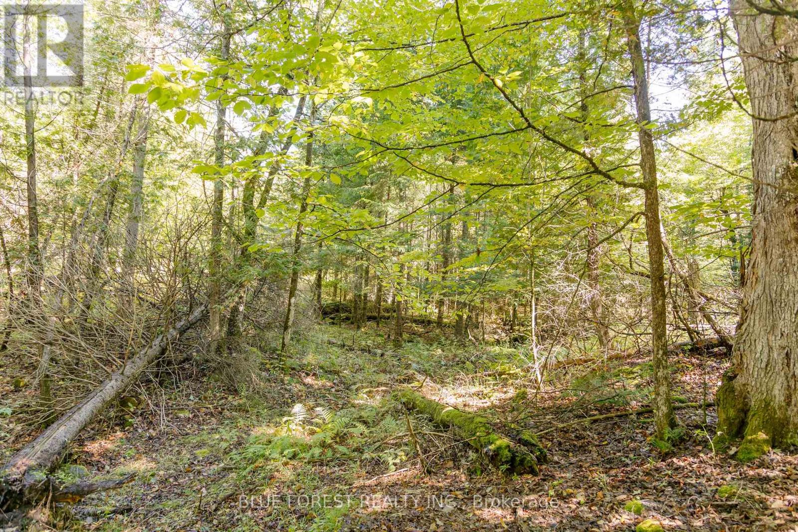 Lot 69 25th Line, Algonquin Highlands, Ontario  K0M 1J1 - Photo 7 - X12179567