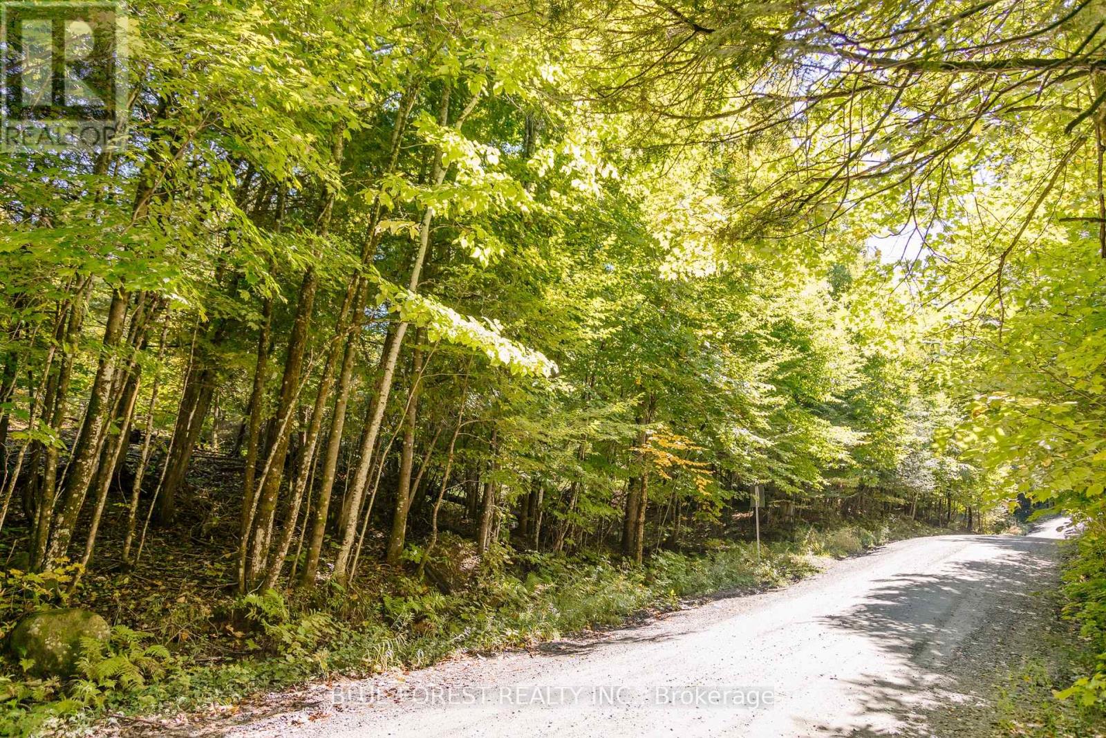 Lot 69 25th Line, Algonquin Highlands, Ontario  K0M 1J1 - Photo 8 - X12179567
