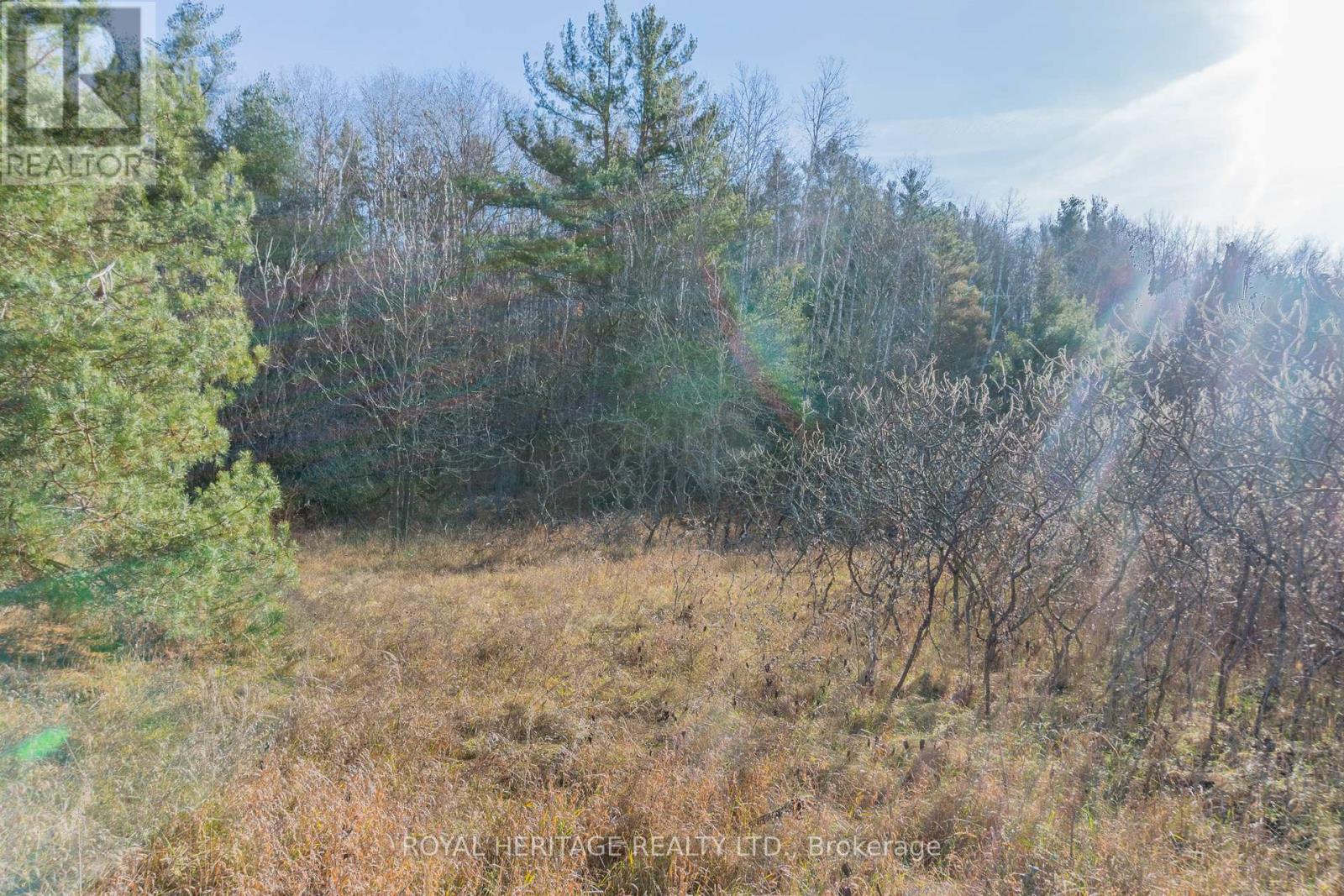 0 County 25 Road, Cramahe, Ontario  K0K 1M0 - Photo 15 - X12179527