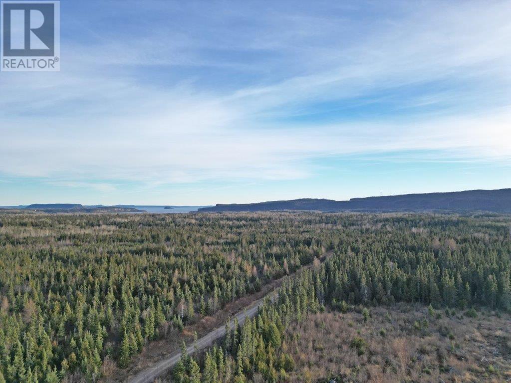 411 Hwy 11-17, Nipigon, Ontario  P0T 2J0 - Photo 21 - TB243555