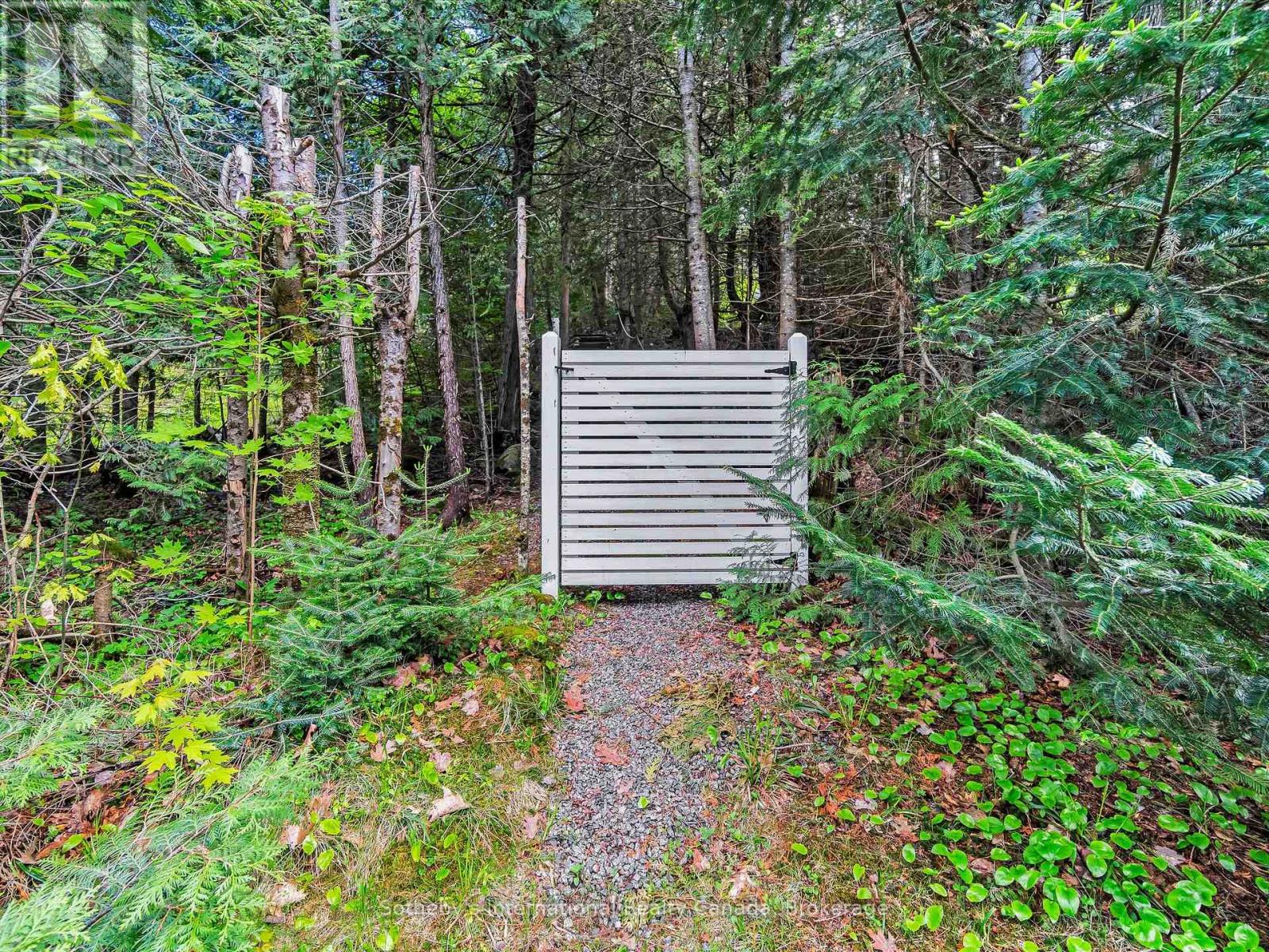 1093 Glenmount Road, Lake Of Bays, Ontario  P0B 1A0 - Photo 36 - X12179749