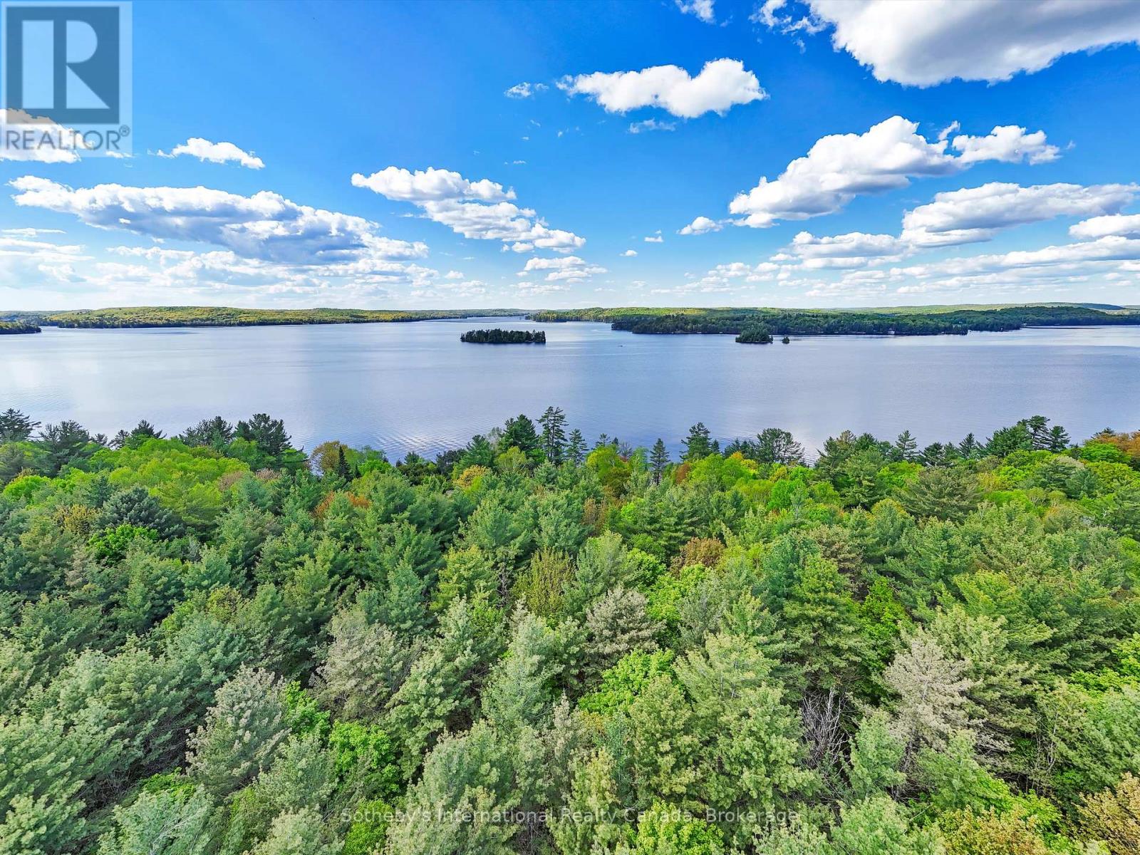 1093 Glenmount Road, Lake Of Bays, Ontario  P0B 1A0 - Photo 9 - X12179749