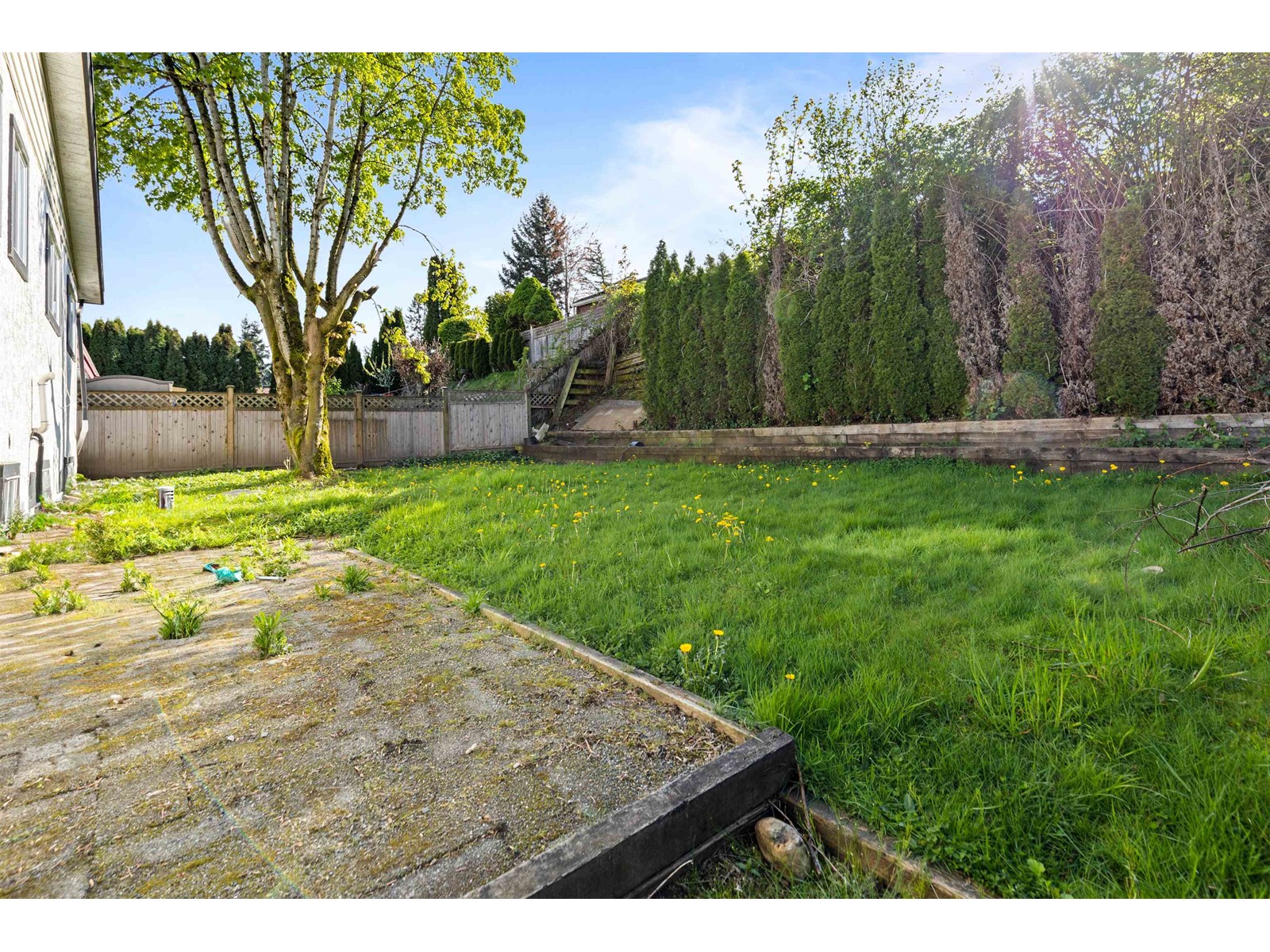 2071 Emerson Street, Abbotsford, British Columbia  V2T 3H8 - Photo 6 - R3008400
