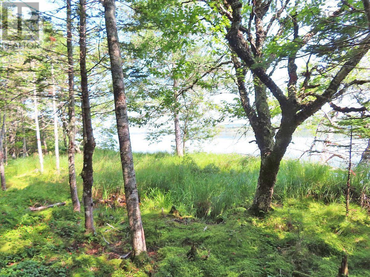 83.9 Acres Grand Mira South Road, Grand Mira South, Nova Scotia  B1K 1H2 - Photo 19 - 202420417