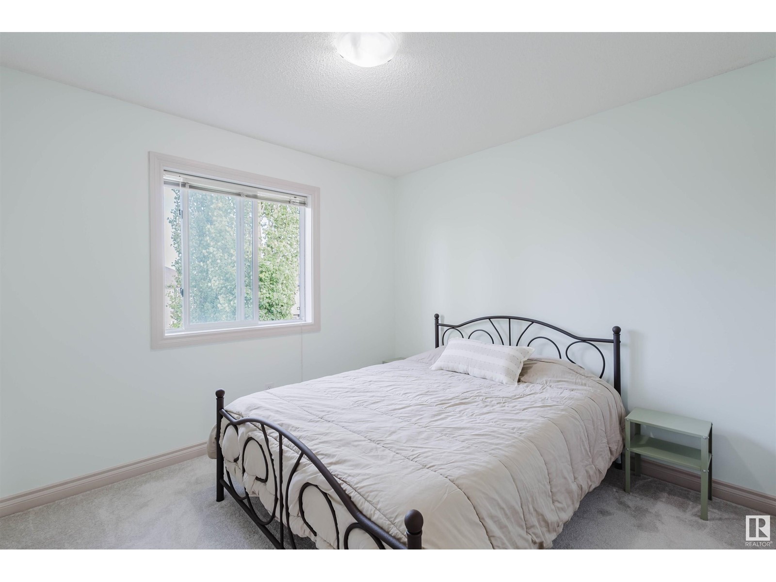4715 202 St Nw, Edmonton, Alberta  T6M 2Y1 - Photo 25 - E4438948
