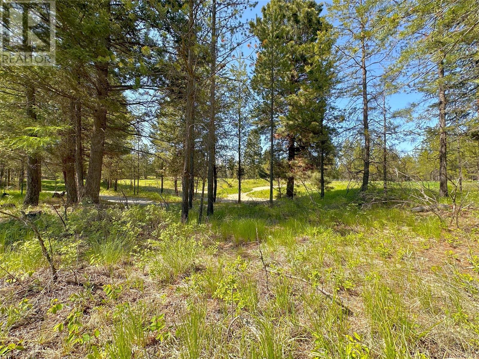 121 Corral Boulevard, Cranbrook, British Columbia V1C 0C2 - Photo 3 - 10349711