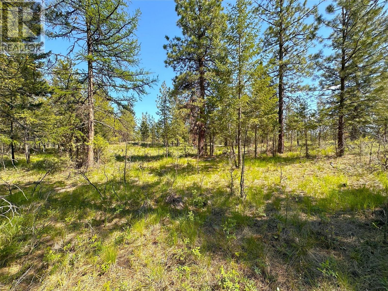 121 Corral Boulevard, Cranbrook, British Columbia V1C 0C2 - Photo 4 - 10349711