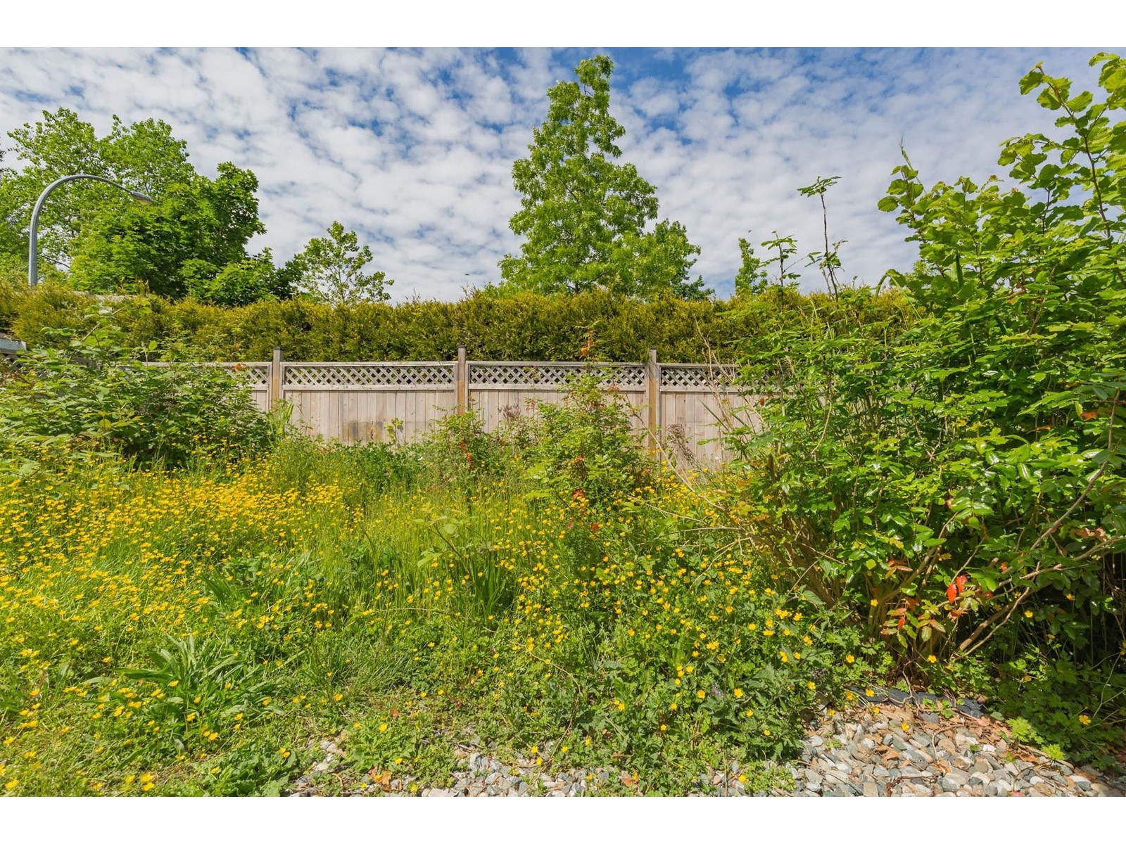 124 8234 134 Street, Surrey, British Columbia  V3W 4V1 - Photo 37 - R3007689