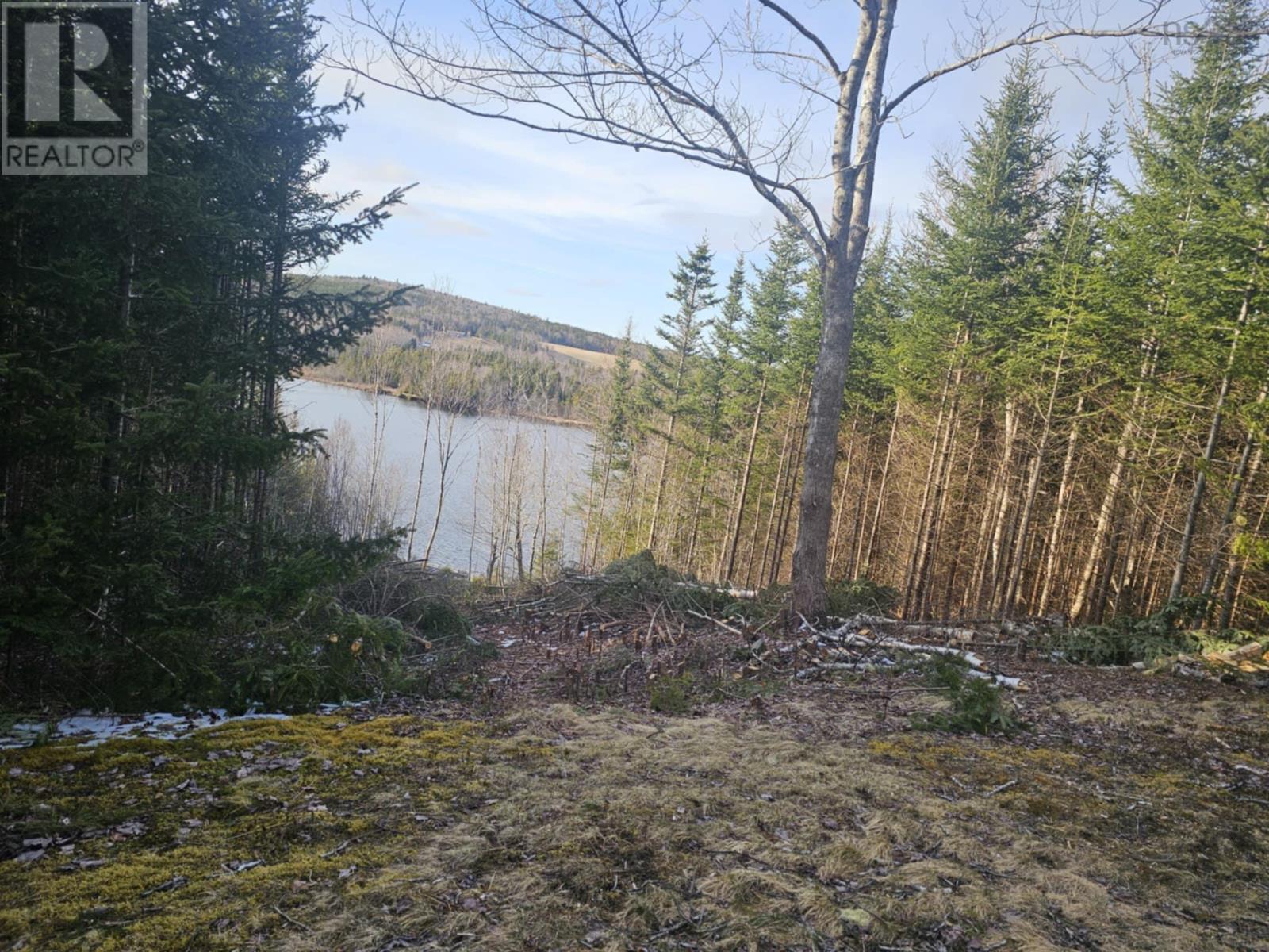 138 Grand Mira South Road, Marion Bridge, Nova Scotia  B1K 1E7 - Photo 27 - 202418101