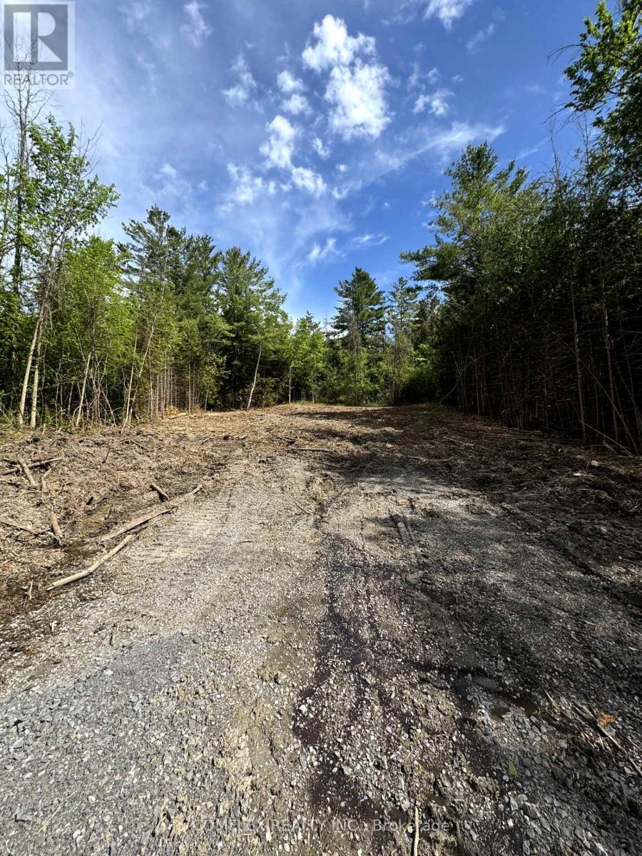 227 Grandview Drive, Alnwick/haldimand, Ontario  K0K 2X0 - Photo 2 - X12180129