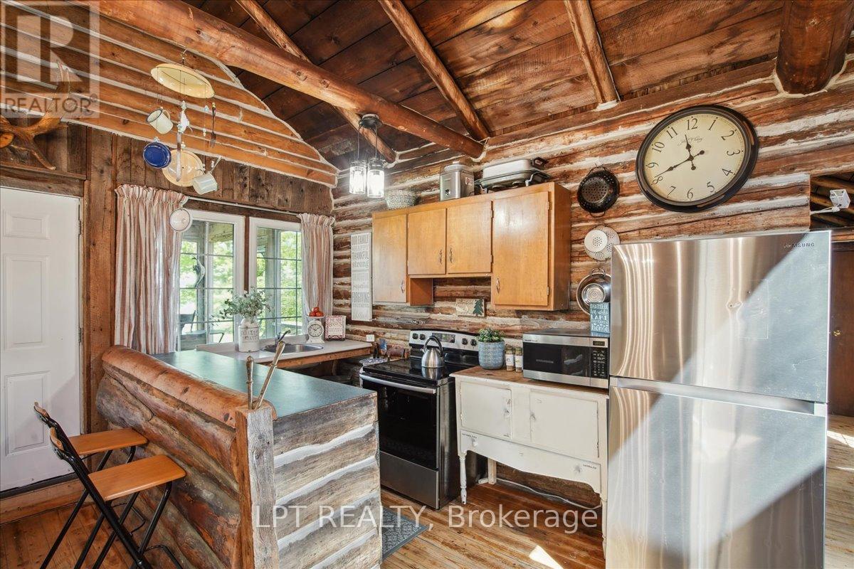 1689 Chief Joseph Snake Road, Georgina Islands (Georgina Island), Ontario  L0E 1R0 - Photo 11 - N12180282