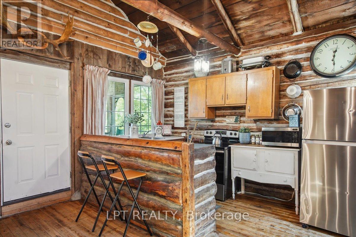 1689 Chief Joseph Snake Road, Georgina Islands (Georgina Island), Ontario  L0E 1R0 - Photo 27 - N12180282