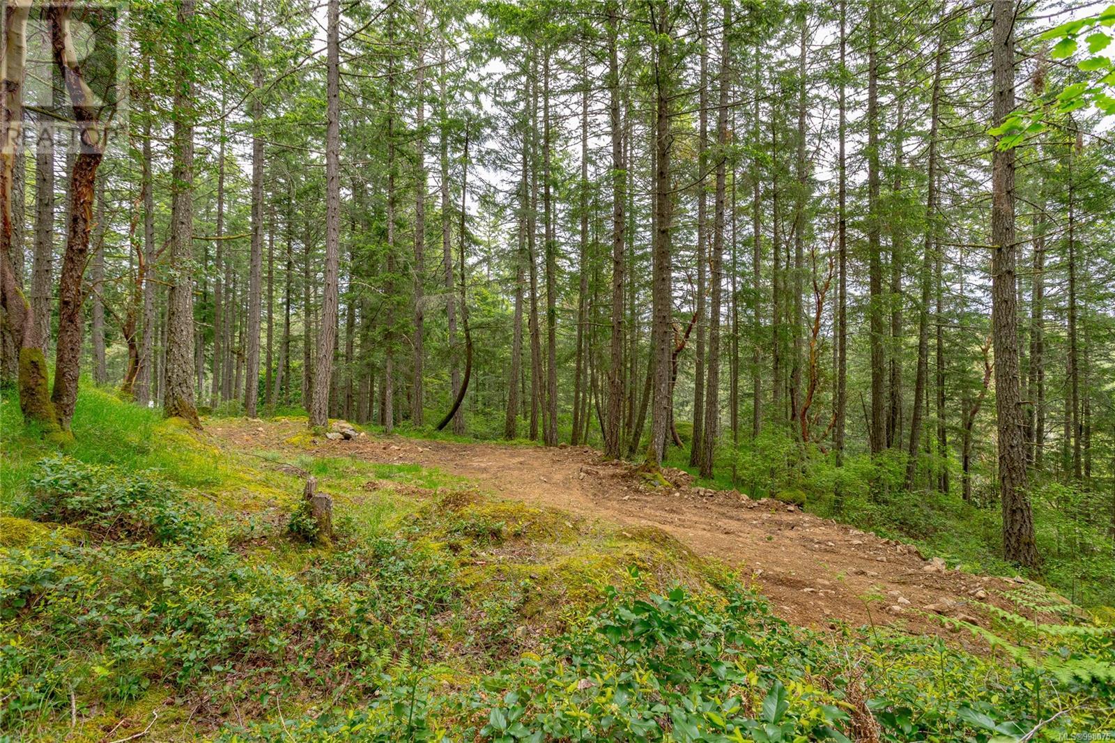 5395 Munn Rd, Highlands, British Columbia  V9E 1G8 - Photo 55 - 998075