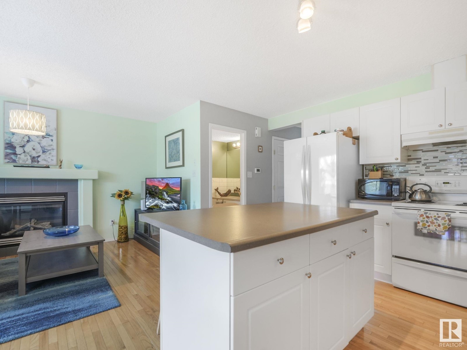 3747 21 St Nw Nw, Edmonton, Alberta  T6T 1R7 - Photo 15 - E4439020