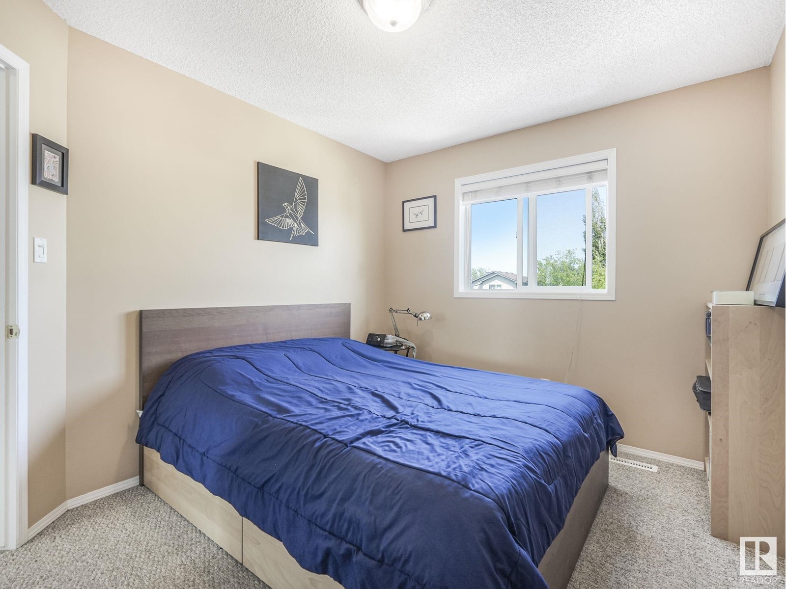3747 21 St Nw Nw, Edmonton, Alberta  T6T 1R7 - Photo 22 - E4439020