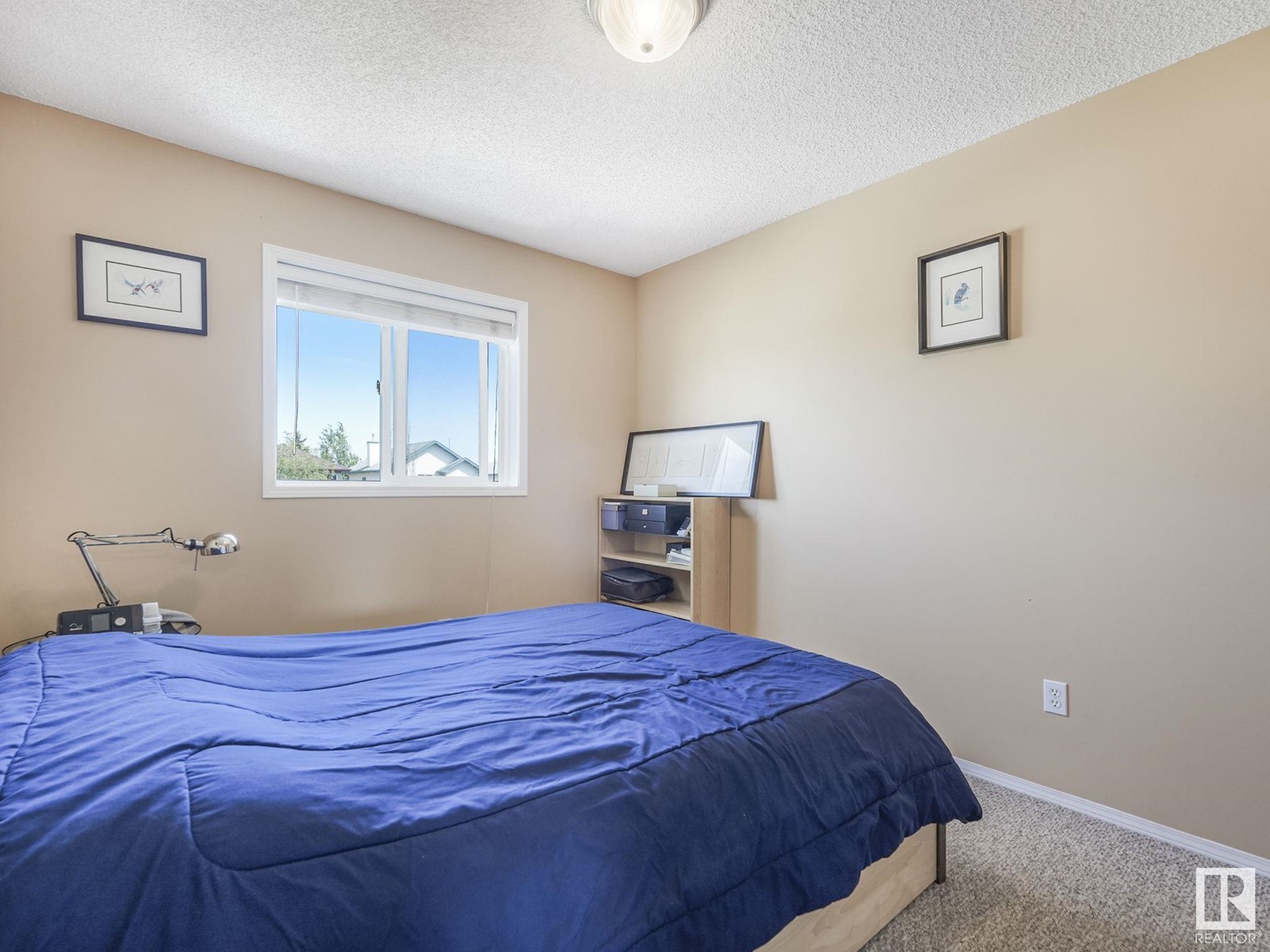 3747 21 St Nw Nw, Edmonton, Alberta  T6T 1R7 - Photo 23 - E4439020