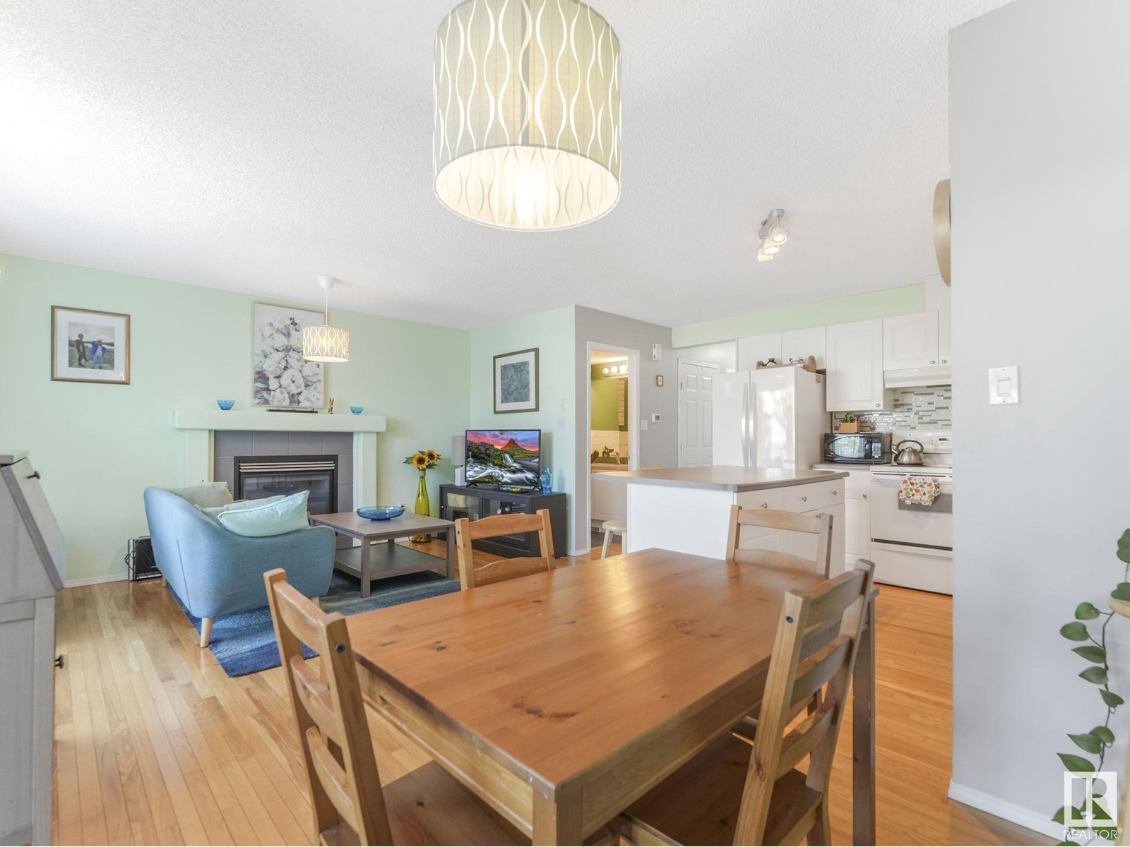 3747 21 St Nw Nw, Edmonton, Alberta  T6T 1R7 - Photo 8 - E4439020