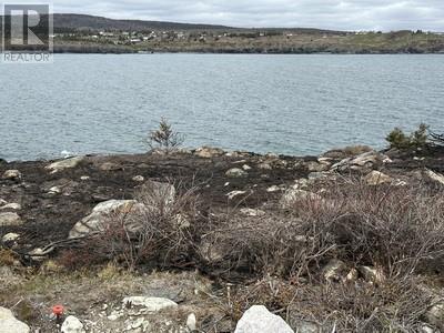 3-5 Lighthouse Road, Western Bay, Newfoundland & Labrador  A0A 4J0 - Photo 11 - 1285423