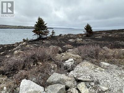 3-5 Lighthouse Road, Western Bay, Newfoundland & Labrador  A0A 4J0 - Photo 4 - 1285423
