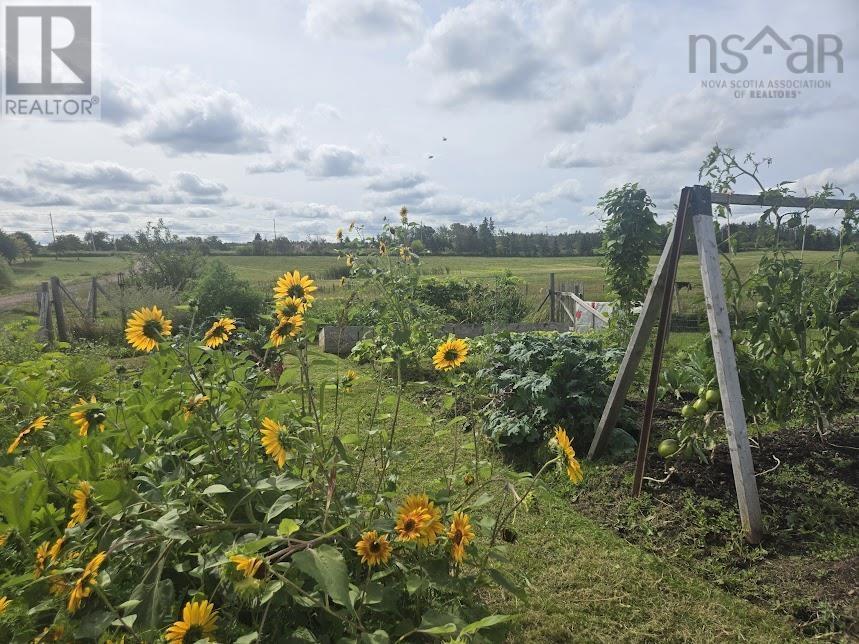 Lorem Ipsum D, Marshville, Nova Scotia  B0K  - Photo 33 - DEMO27421127