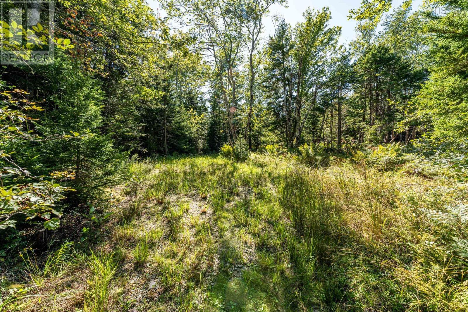 Lot 2 Grosses Coques Road, Grosses Coques, Nova Scotia  B0W 1M0 - Photo 30 - 202512215